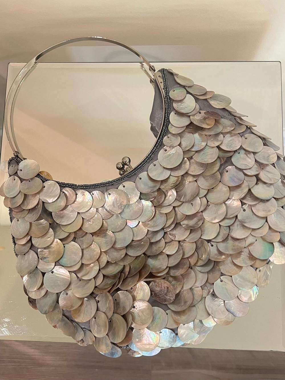 Iridescent Shell Disc Evening Bag - Silver